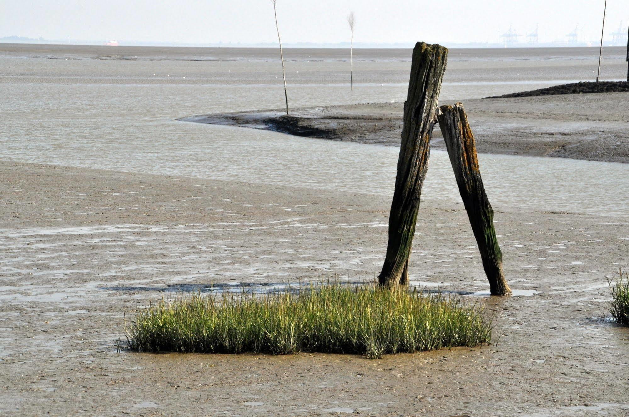 Strand Hotel Nordsee, Hotel Deichlaeufer トッセンス エクステリア 写真